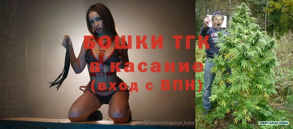 молекула духа Аркадак