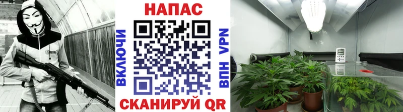 Каннабис LSD WEED  купить  цена  гидра ONION  Семикаракорск 